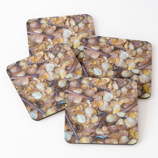 Fagus and Pandanus in Autumn Coasters (Set of 4)