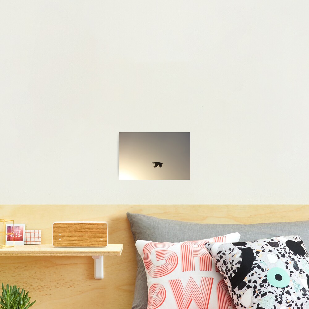 Item preview, Photographic Print designed and sold by RIVIERAVISUAL.