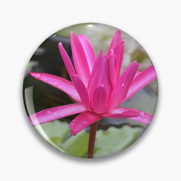 Item preview, Water Lilies  designed and sold by Carole-Anne.