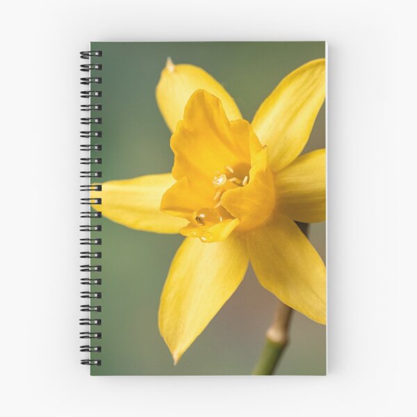 Item preview, Yellow Daffodil designed and sold by Chris Cobern.