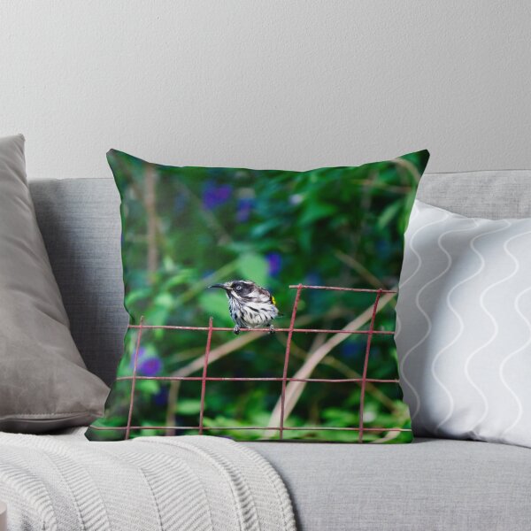 Item preview, The Curiosity of a New Holland Honey Eater designed and sold by FigTreeMagick.
