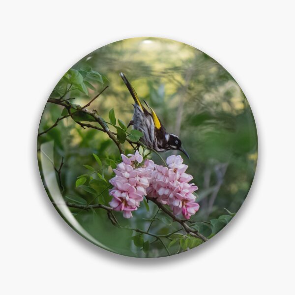 Artikelvorschau, New Holland Honey Eater Gathering Nectar entworfen und verkauft von FigTreeMagick.