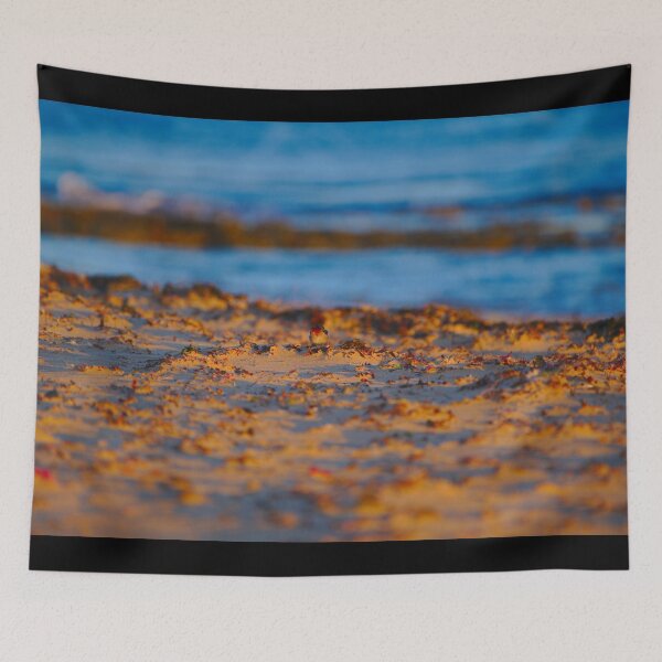 Item preview, A Swallow On The Beach At Dawn designed and sold by Jason Gilbert.
