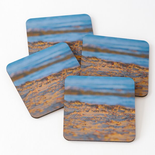Item preview, A Swallow On The Beach At Dawn designed and sold by Jason Gilbert.