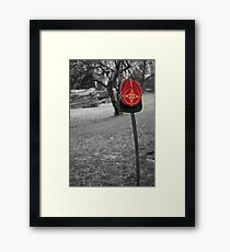 Fallen Soldier Framed Print