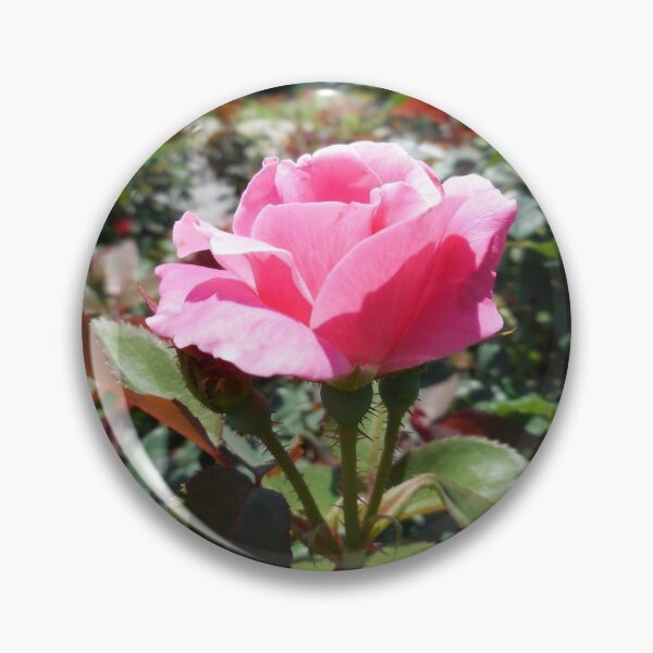 Item preview, Roses Near a Country House designed and sold by EloiseArt.