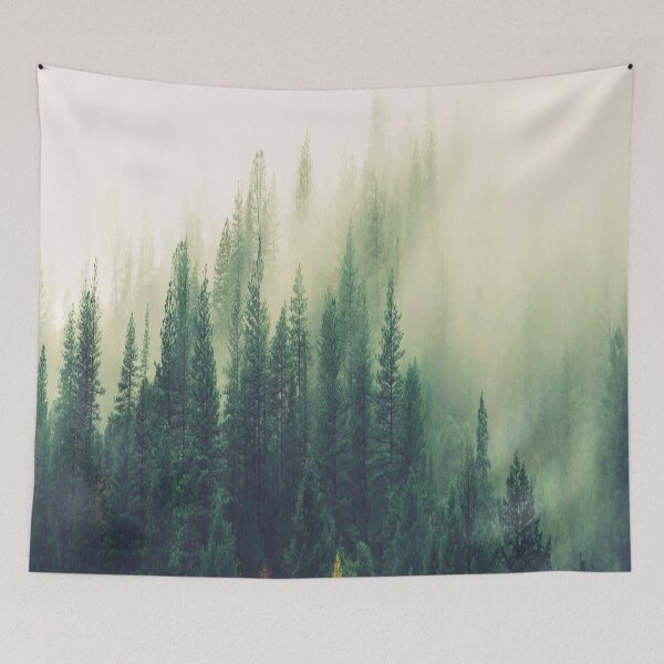 Item preview.
