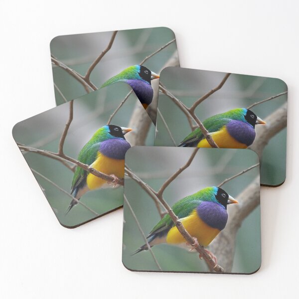 Item preview, Gouldian Finch designed and sold by Tom Newman.