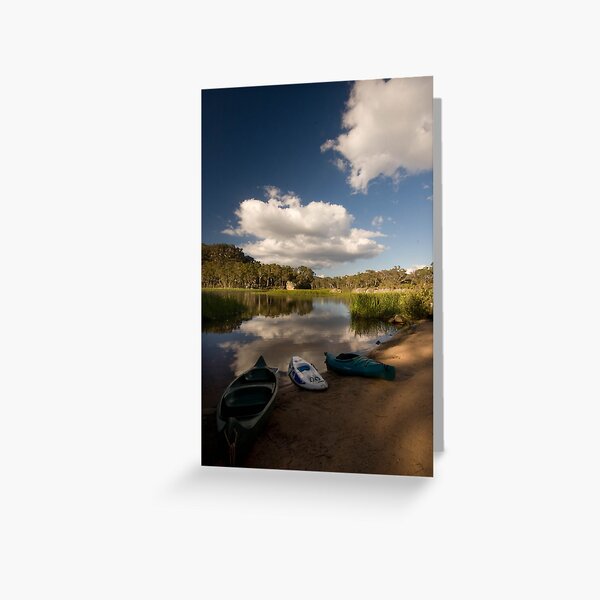 Dunn's Swamp ~ Wollemi National Park II Greeting Card