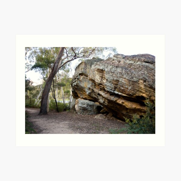 Dunn's Swamp - Wollemi National Park III Art Print