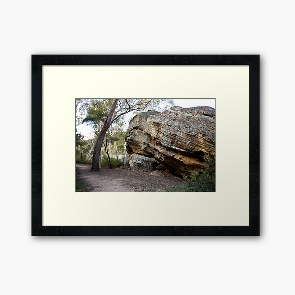 Dunn's Swamp - Wollemi National Park III Framed Art Print
