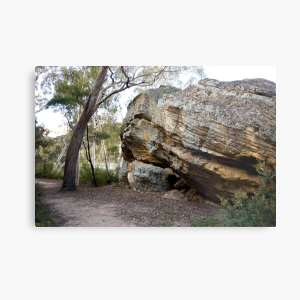 Dunn's Swamp - Wollemi National Park III Metal Print