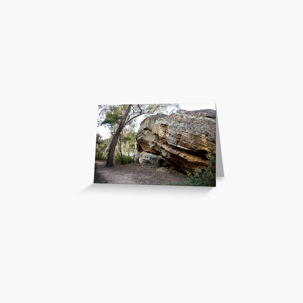 Dunn's Swamp - Wollemi National Park III Greeting Card