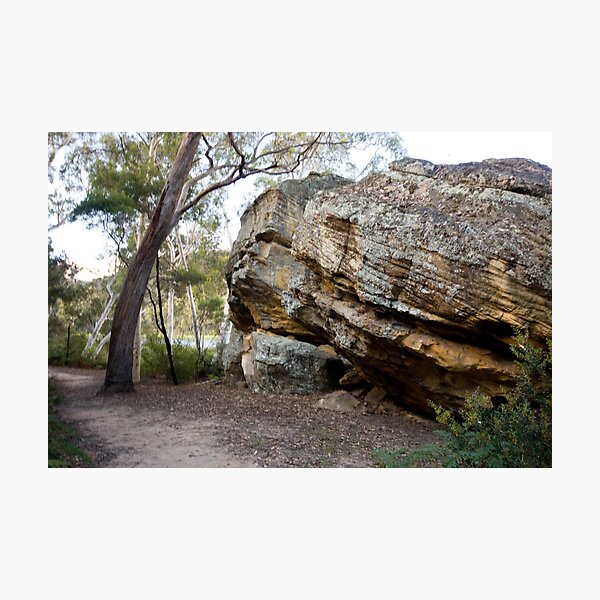 Dunn's Swamp - Wollemi National Park III Photographic Print