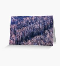 Winter trees Greeting Card