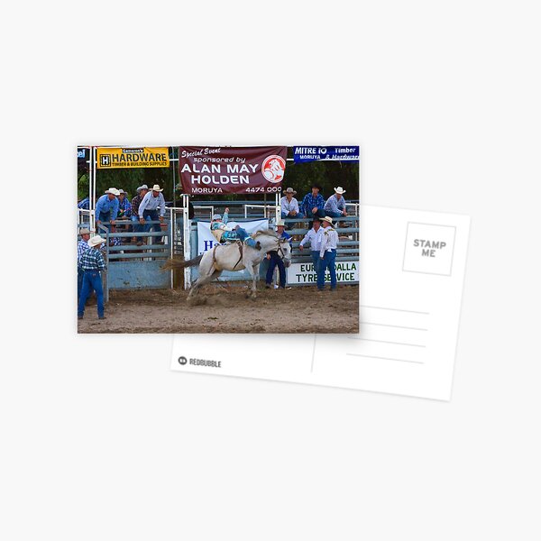 Moruya Rodeo New Years Day 2012 Postcard