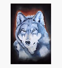 Wolf Photographic Print