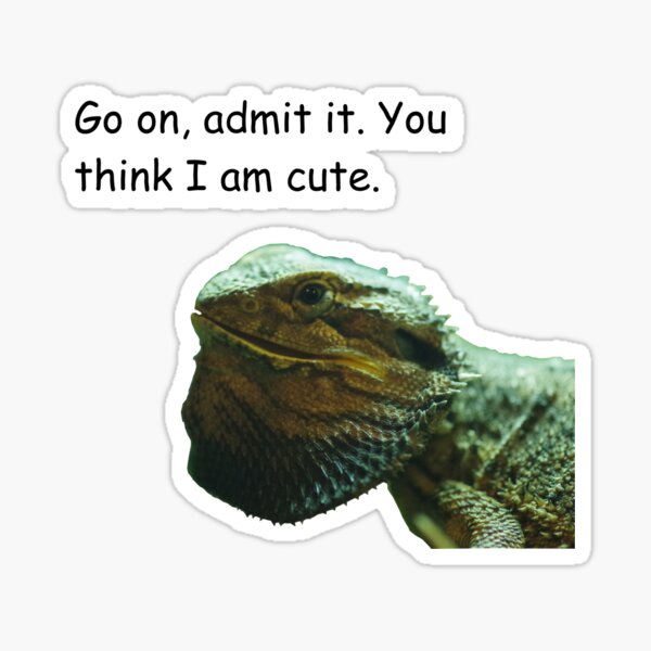 Item preview, Cheeky Bearded Dragon designed and sold by Paul Chubb.