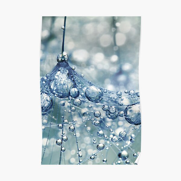 Sparkling Dandy in Blue Poster