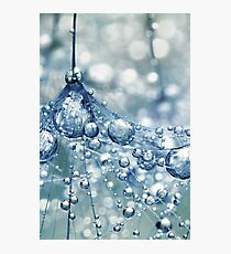 Sparkling Dandy in Blue Photographic Print