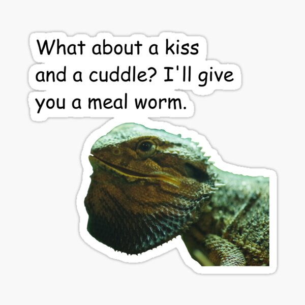 Item preview, Cheeky Bearded Dragon designed and sold by Paul Chubb.