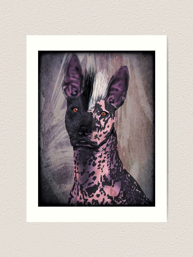 xoloitzcuintli painting