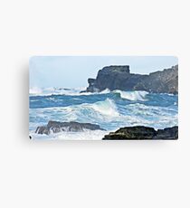 " Come off those rocks this instant" Canvas Print