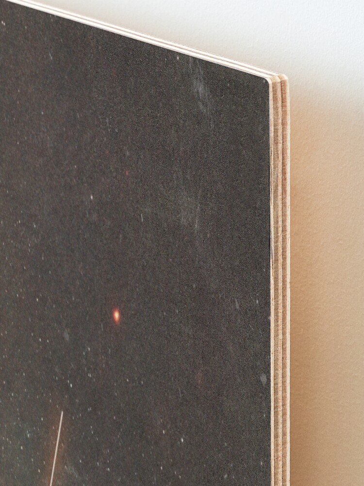 Alternate view of The Others Mounted Print