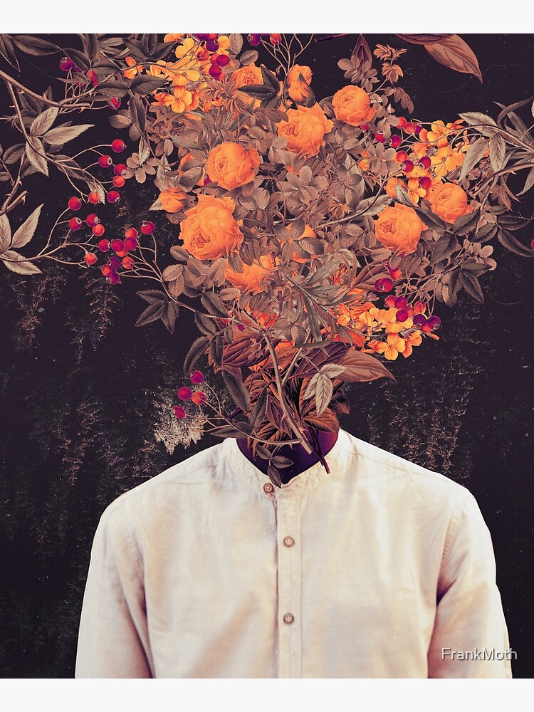 Bloom by FrankMoth
