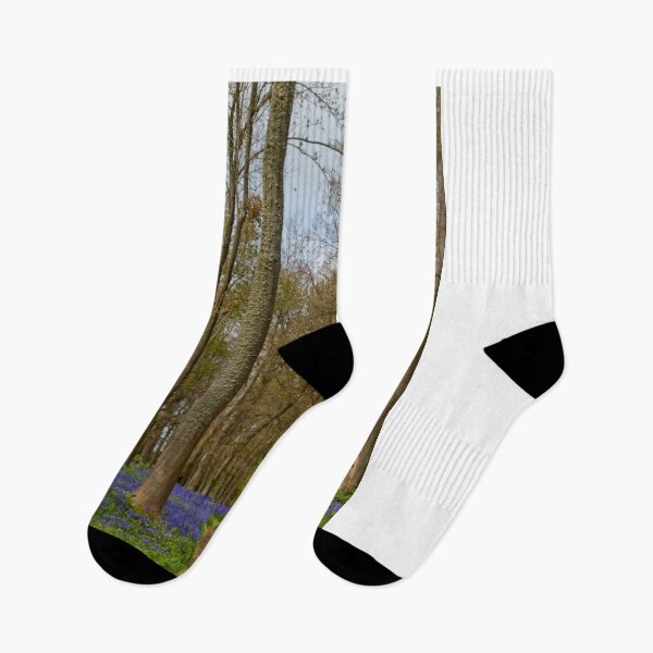 Item preview, Bluebell Woods Greys Court Oxfordshire England UK designed and sold by AndyEvansPhotos.
