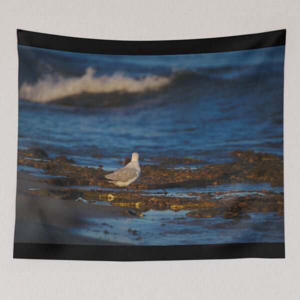 Item preview, A Seagull On The Reef At Dawn designed and sold by Jason Gilbert.