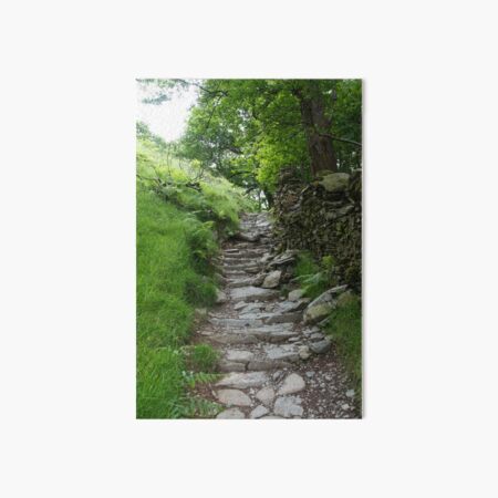 Coffin Road 1 Art Board Print