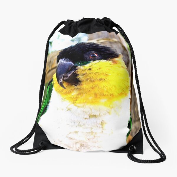 Coy Drawstring Bag