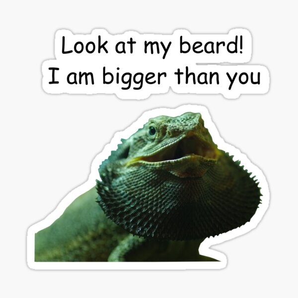 Item preview, Fiesty Bearded Dragon designed and sold by Paul Chubb.