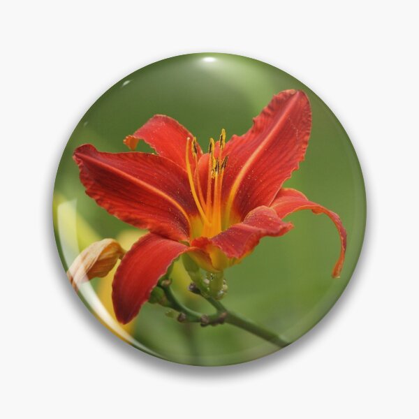 Item preview, Red Flower designed and sold by Charlene's Art.