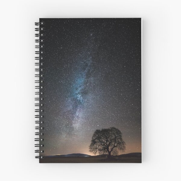 Item preview, Many Stars, One Tree designed and sold by andymcdphoto.