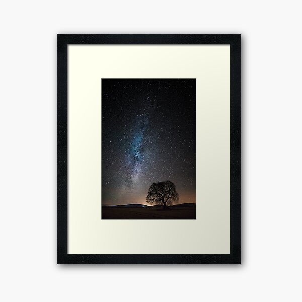 Many Stars, One Tree Framed Art Print