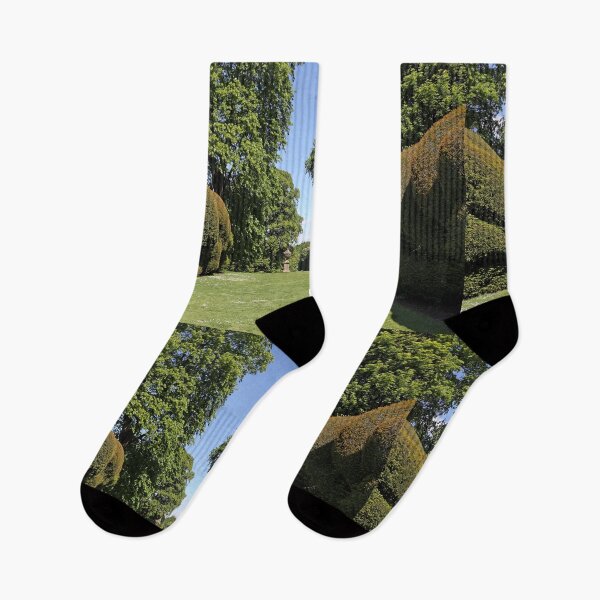 Item preview, Topiary hedges along a path designed and sold by pinkal.