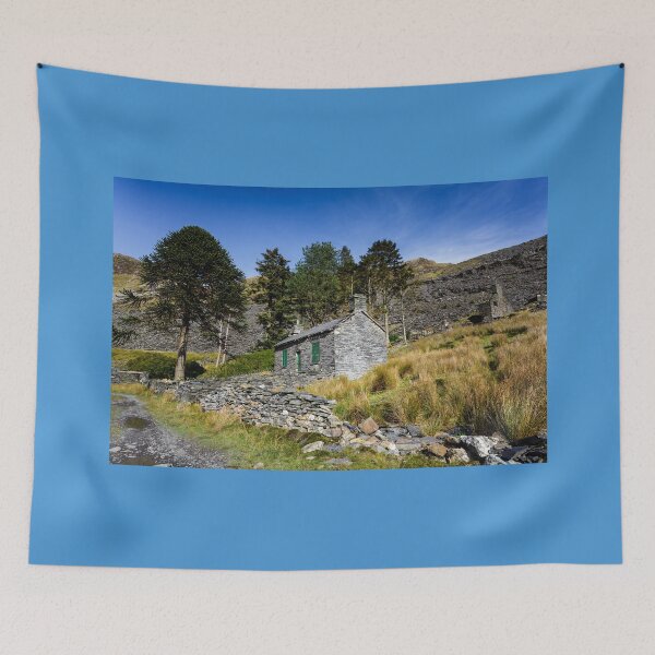 Item preview, Quarryman Cottage, Cwm Orthin, north Wales designed and sold by heidipics.