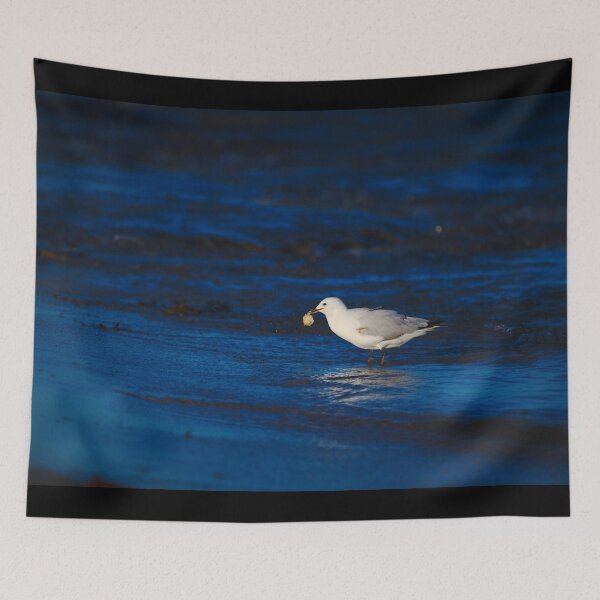 Item preview, A Seagull With A Lump Of Bread At Dawn designed and sold by Jason Gilbert.