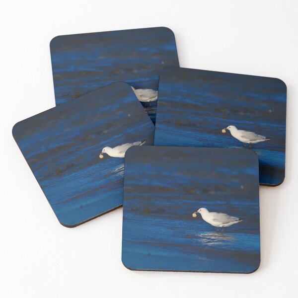 Item preview, A Seagull With A Lump Of Bread At Dawn designed and sold by Jason Gilbert.