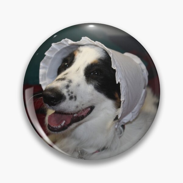 Item preview, Skipper Being a Pilgrim for Thanksgiving designed and sold by banditandkoko.