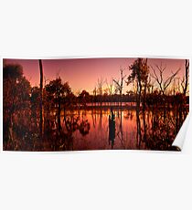 Wetland Sunset Poster