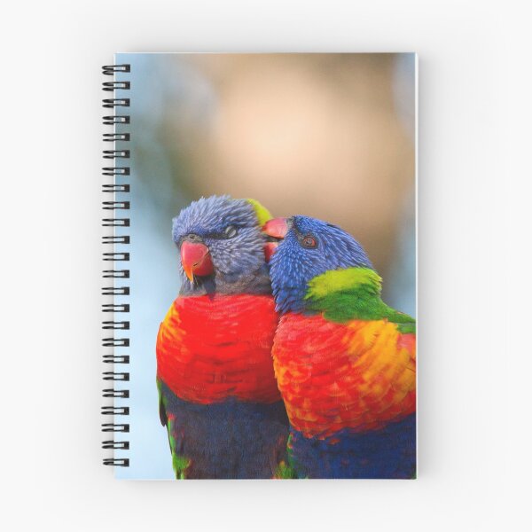 Item preview, Lorikeet love designed and sold by Carole Pallier.