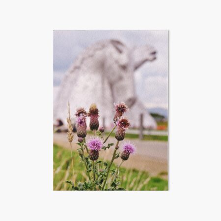 Item preview, Falkirk Kelpies Scottish Thistles designed and sold by MoAndPaul-.