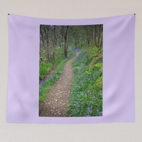 Item preview, Along the Bluebell Path designed and sold by heidipics.
