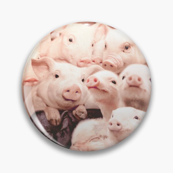 Item preview, Pigs designed and sold by MaxencePierrard.