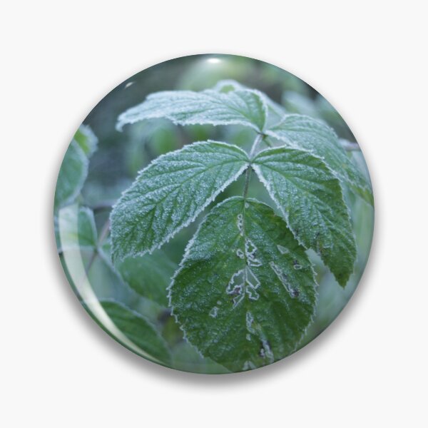Item preview, Nature, leaves, frost, green, photography, BebiCervin designed and sold by BebiCervin.