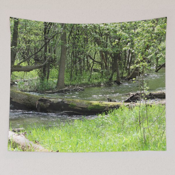 Item preview, Springtime in the Forest 3 designed and sold by Susie Kramer.