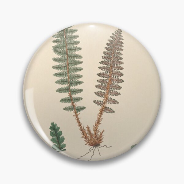 Item preview, Vintage Fern designed and sold by refineryn1.